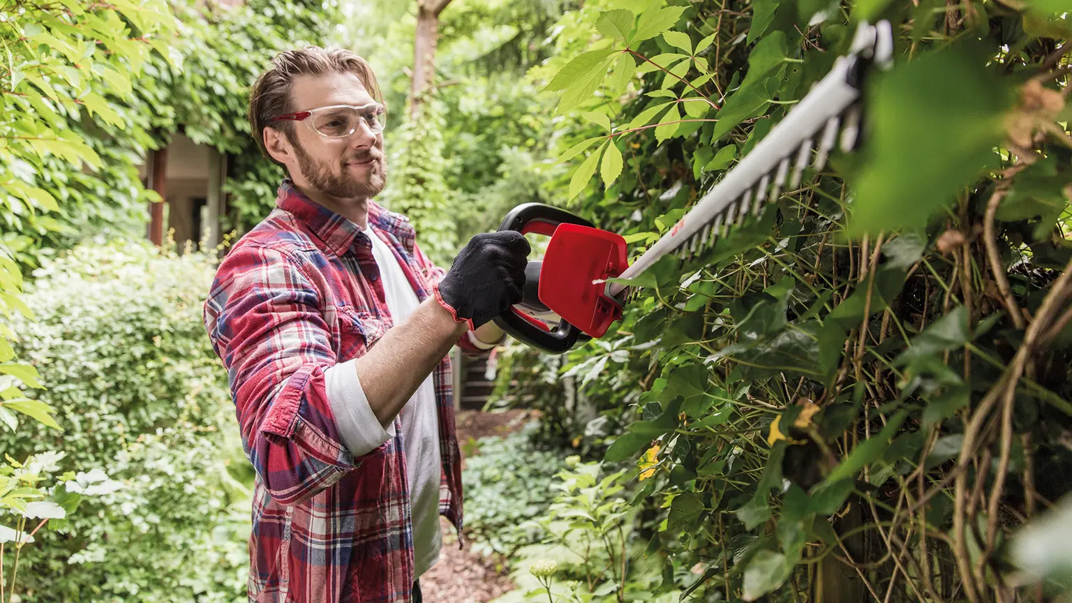 Mann mit Schutzbrille und Handschuhen schneidet Hecke mit rotem Elektro-Heckenschneider im grünen Garten.