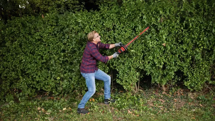 Heckenschere kaufen & pflegen – hilfreiche Tipps von ZGONC - Cover Image