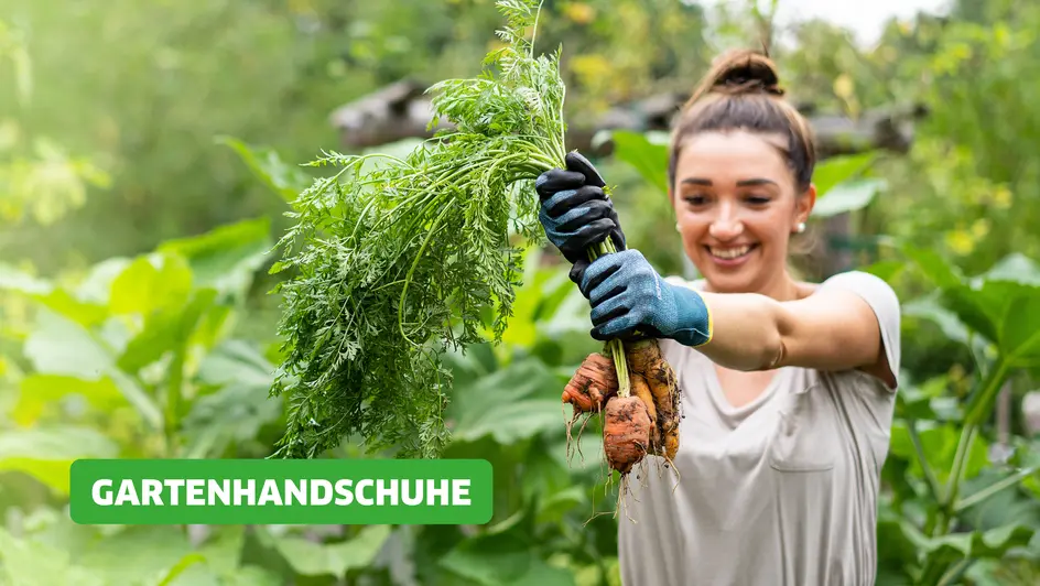 Profi-Gartenhandschuhe vom Handschuh-Profi
