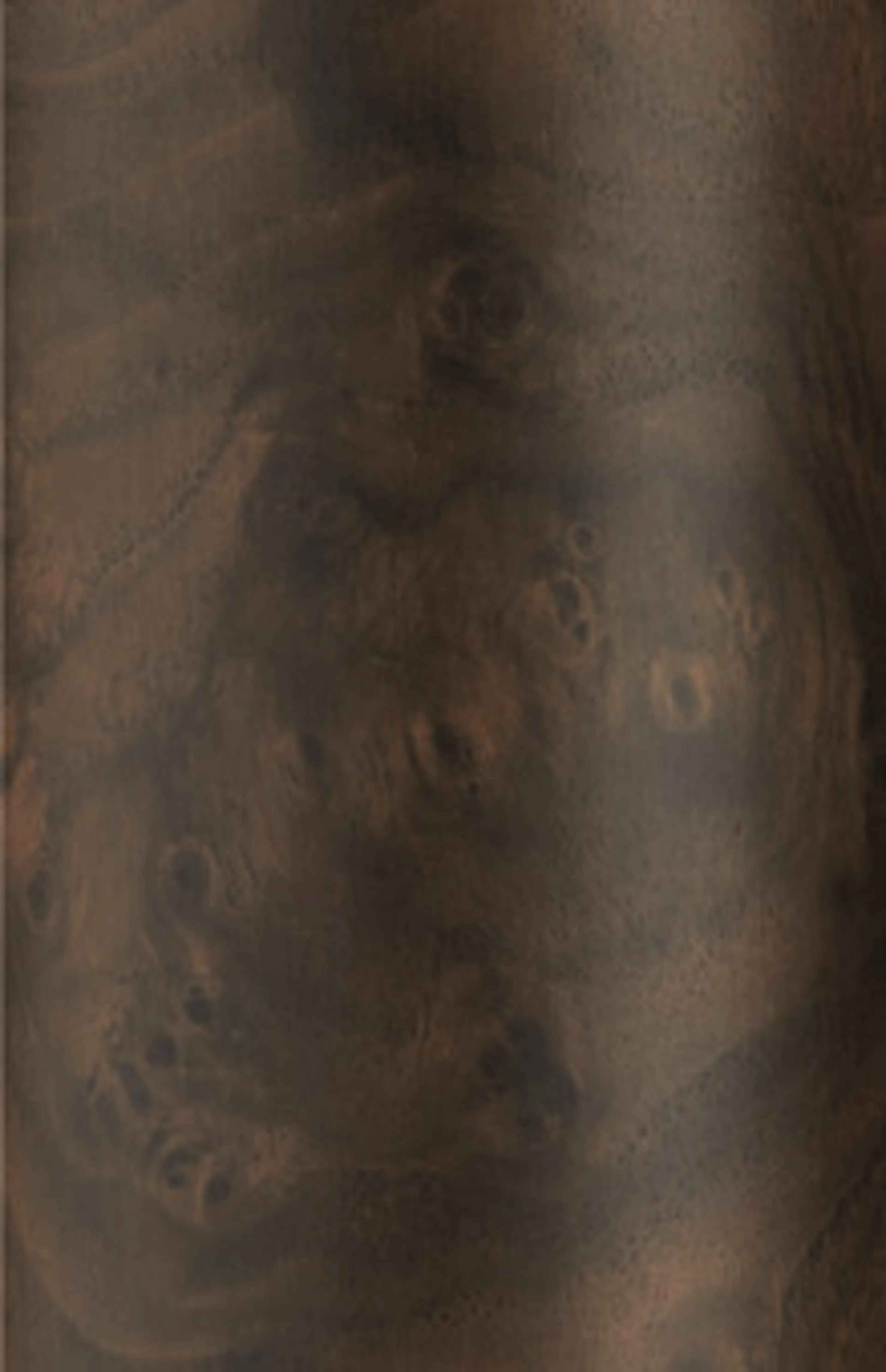 Burr Walnut - Matt