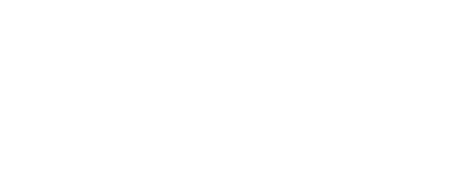 NAX Capital Logo