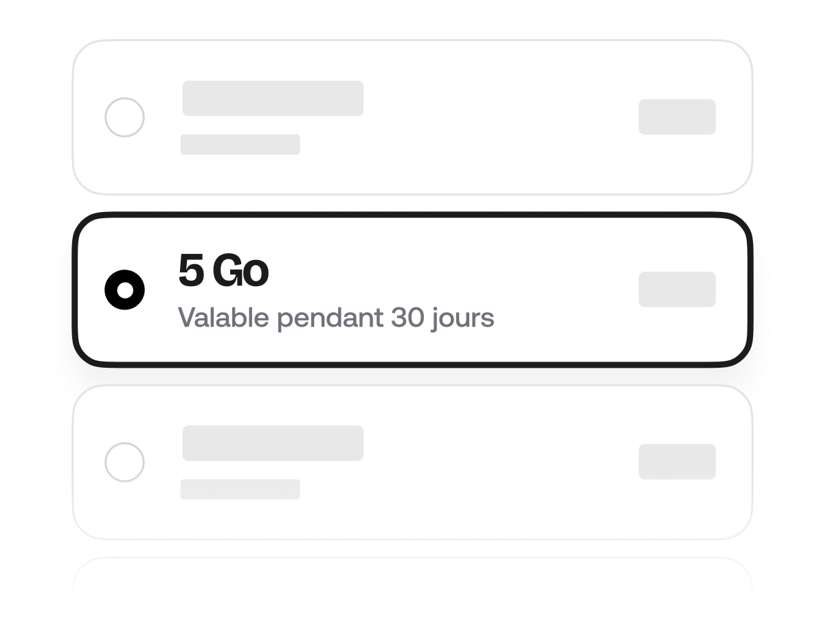 Choisissez un forfait prépayé pour votre voyage