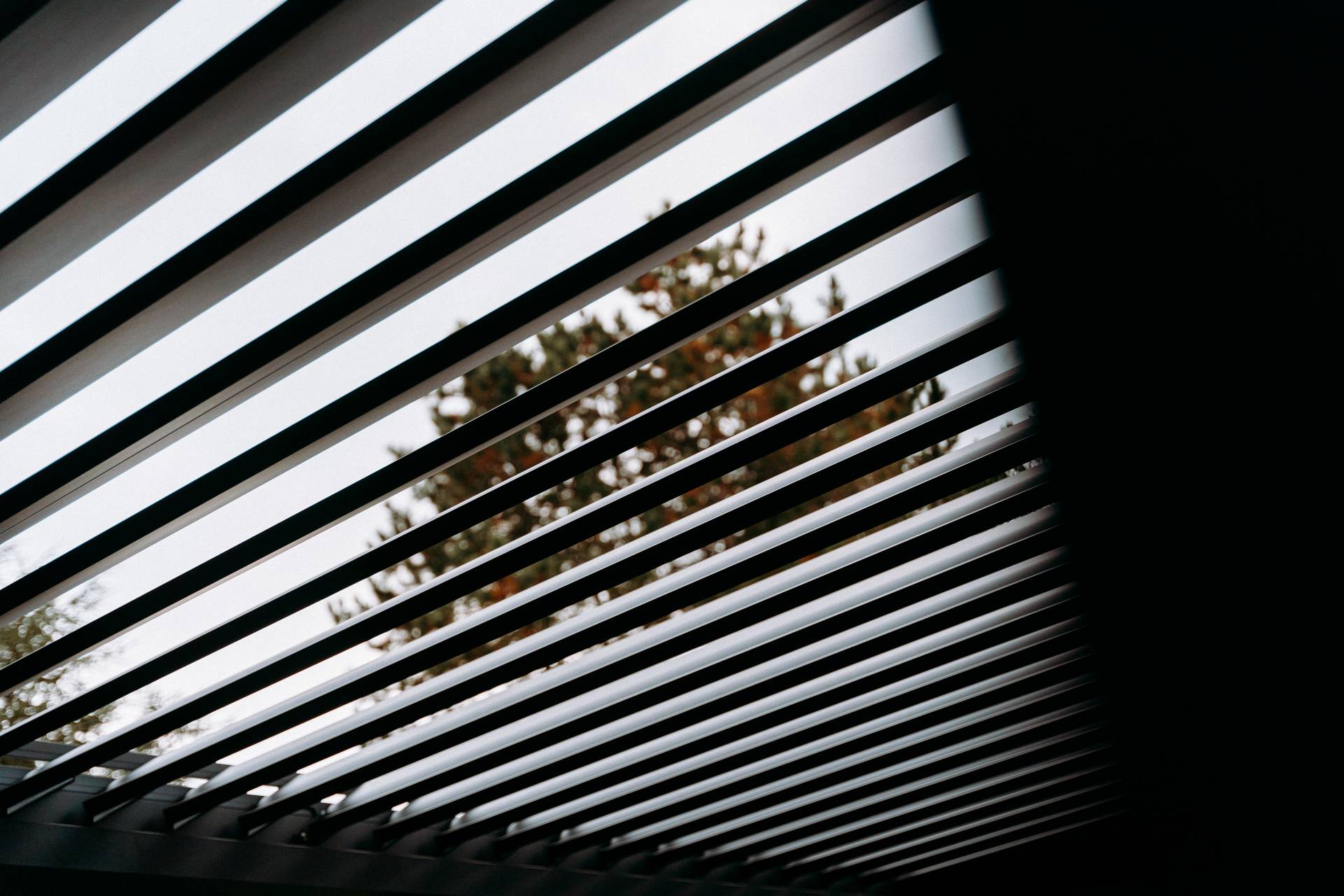 Primo piano del tetto a lamelle di una pergola con un albero visibile attraverso le lamelle aperte.