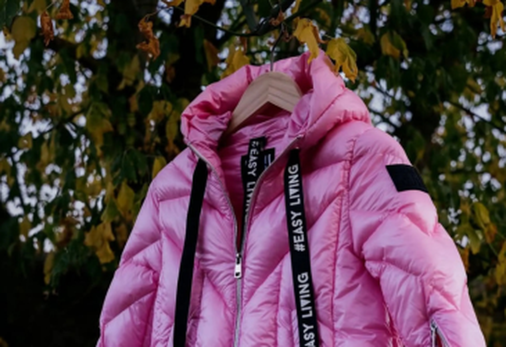 PREVIEW KIDS Brandpage | Montereggi Kid