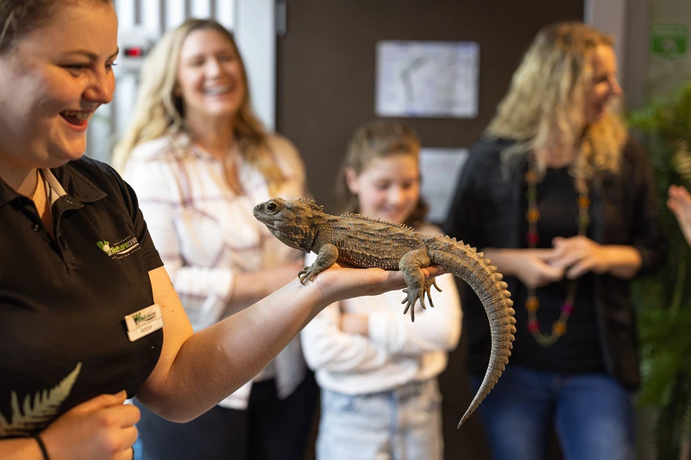 Person holding a tuatara while people in the background smile and watch in a room