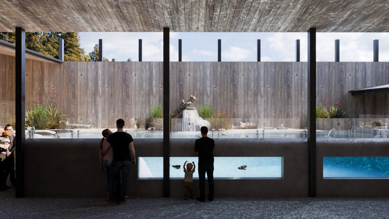 People viewing aquatic exhibits through glass panels in a modern, open-air wooden structure with natural lighting.