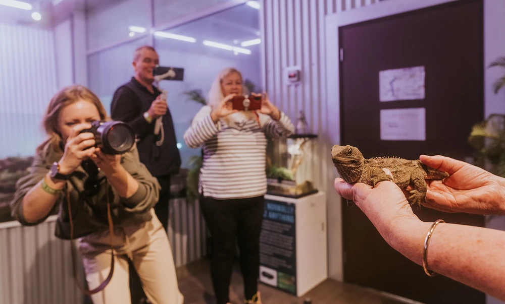 A person holds a tuatara while three people take photos in a room with plants and a tank.