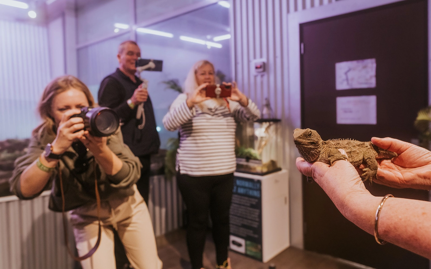 A person holds a tuatara while three people take photos in a room with plants and a tank.