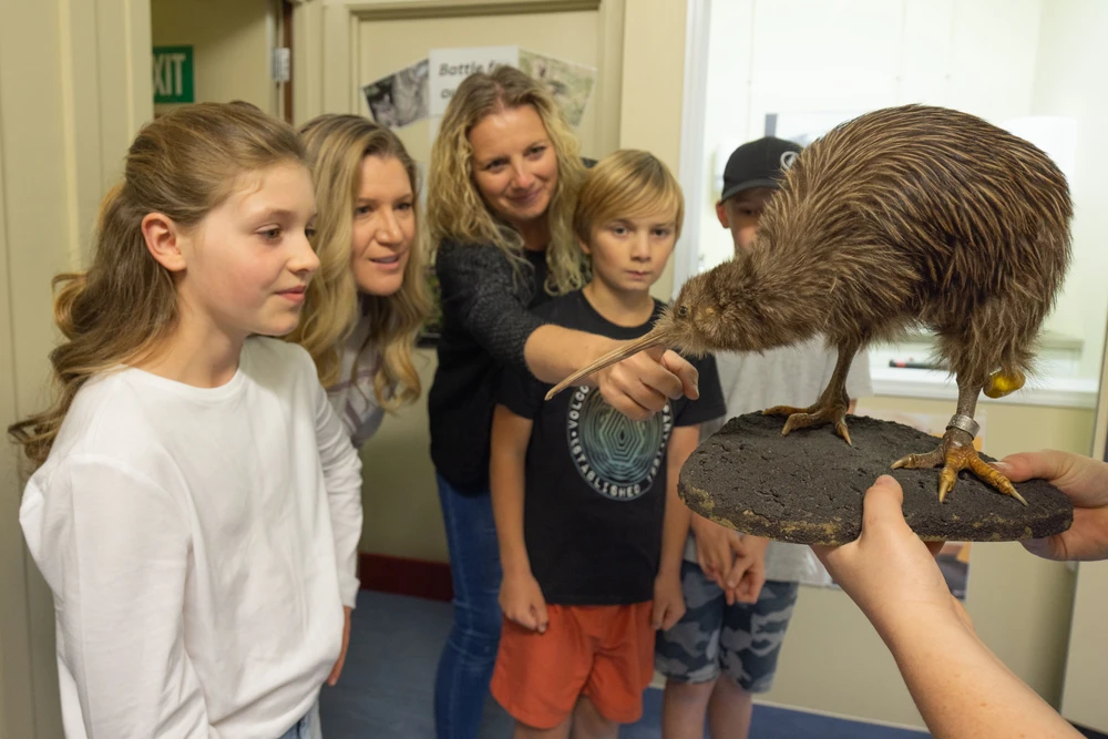 A group of children and adults observe and interact with a kiwi bird in a museum setting.