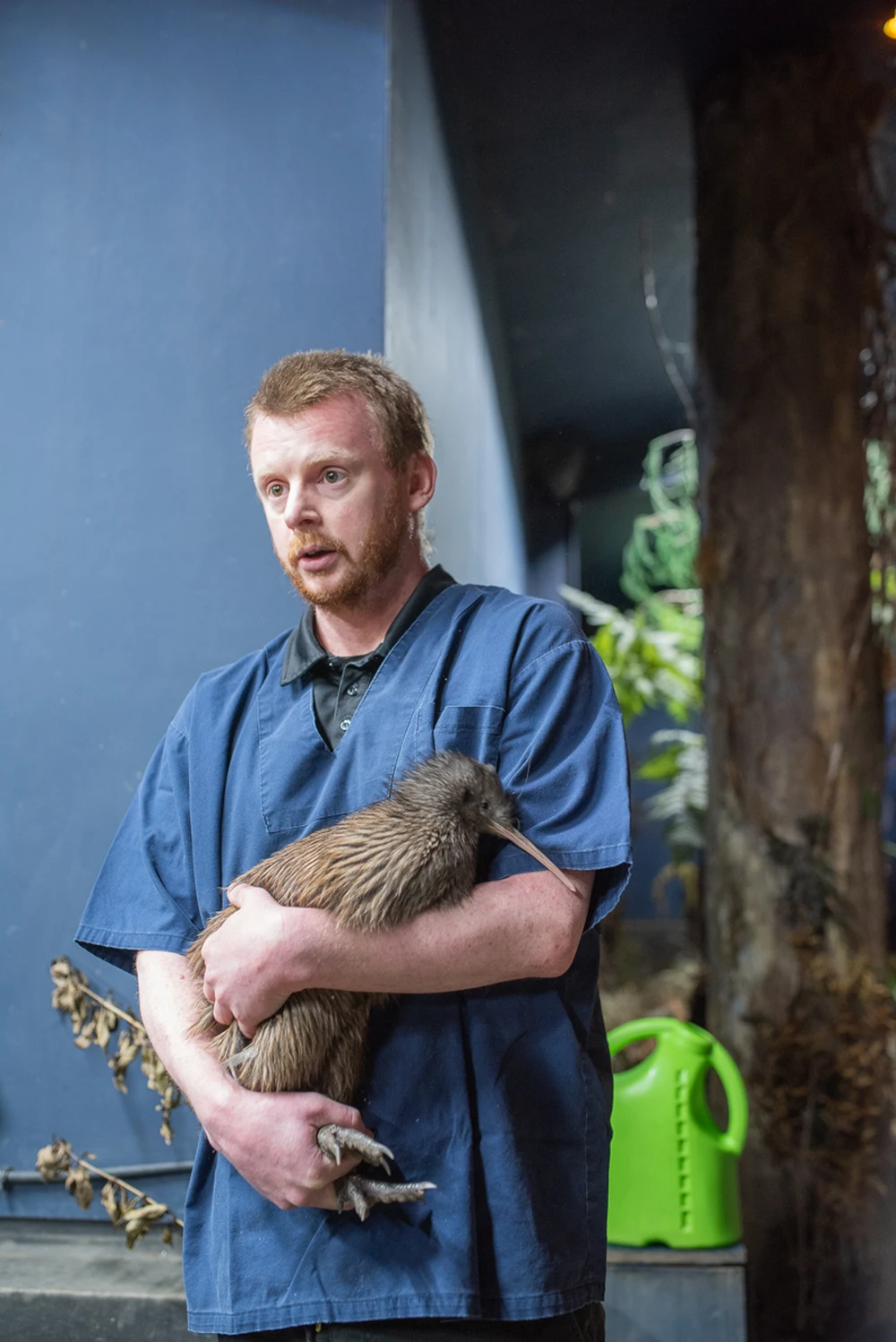 A person holds a kiwi bird indoors