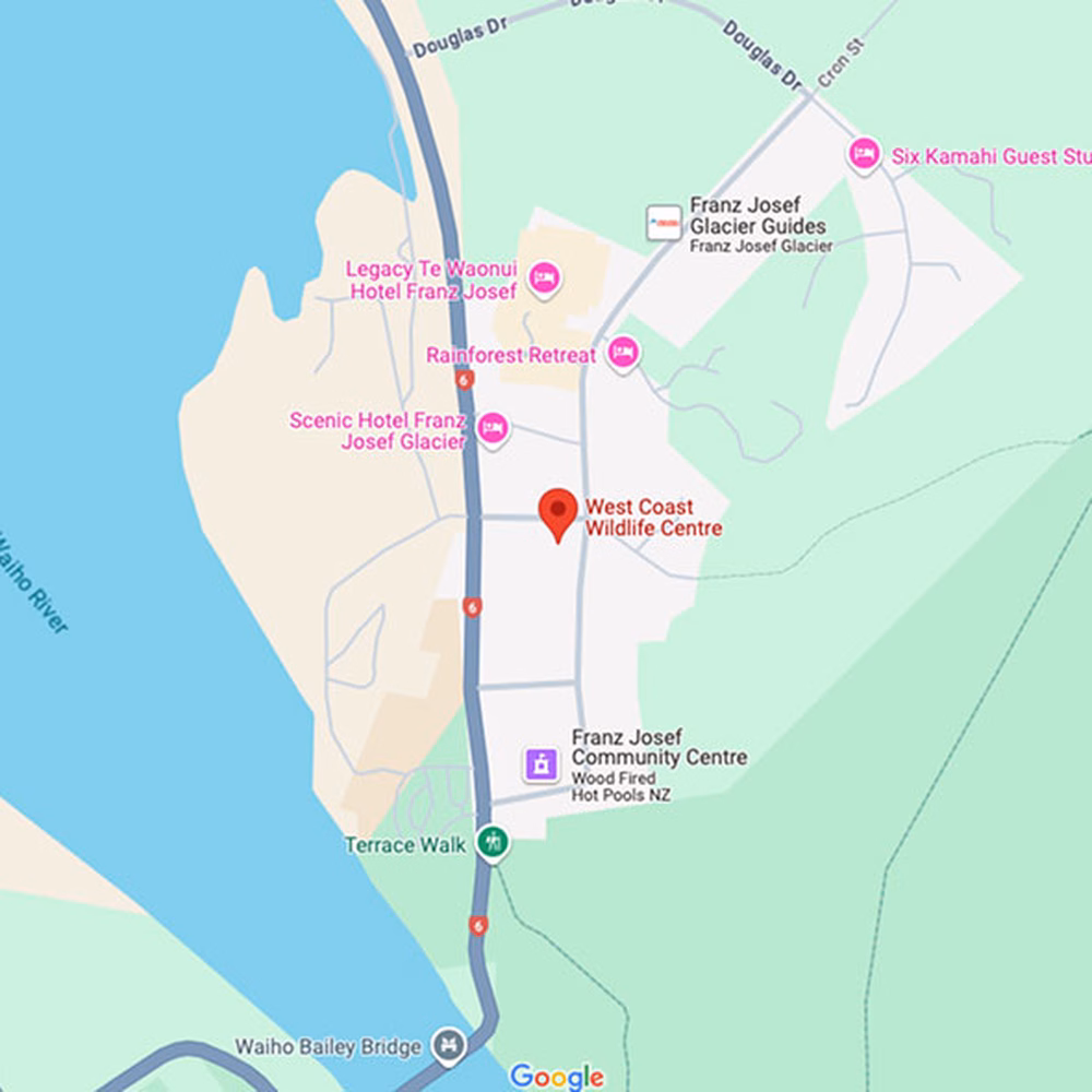 wildlife centre location on google map