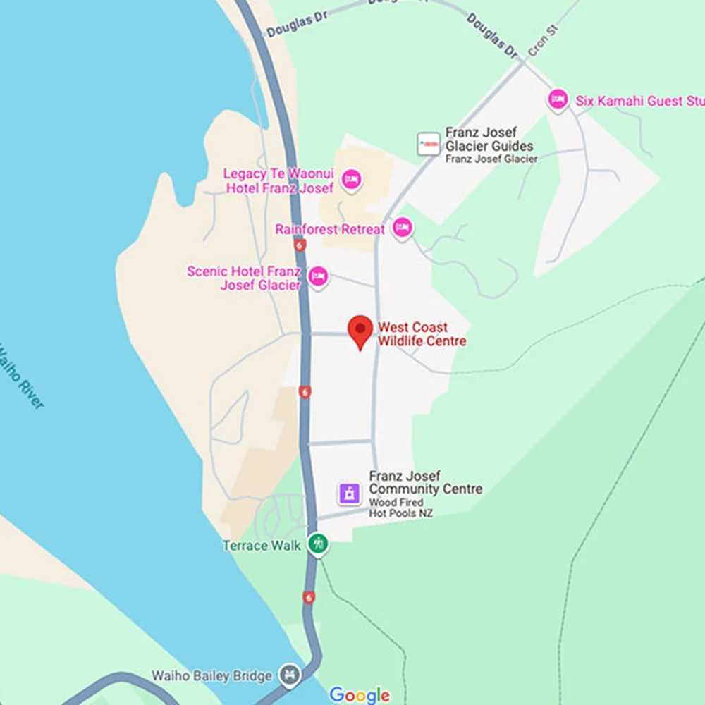 wildlife centre location on google map