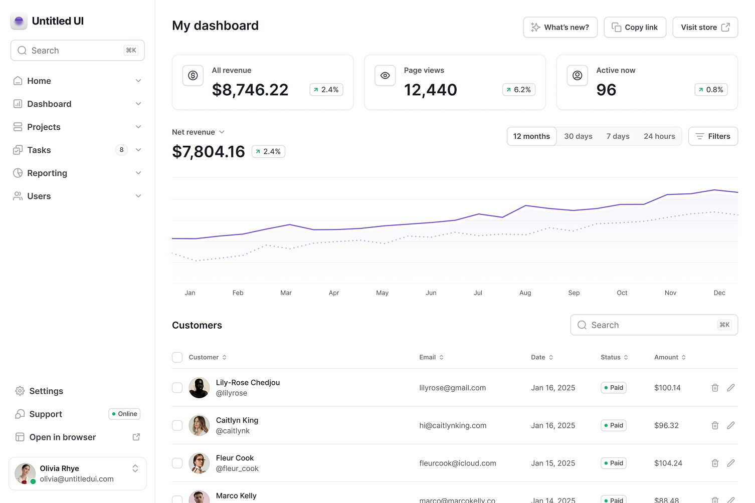 Dashboard with revenue, page views, and active user stats. Line graph shows monthly trends. Customer details listed below.