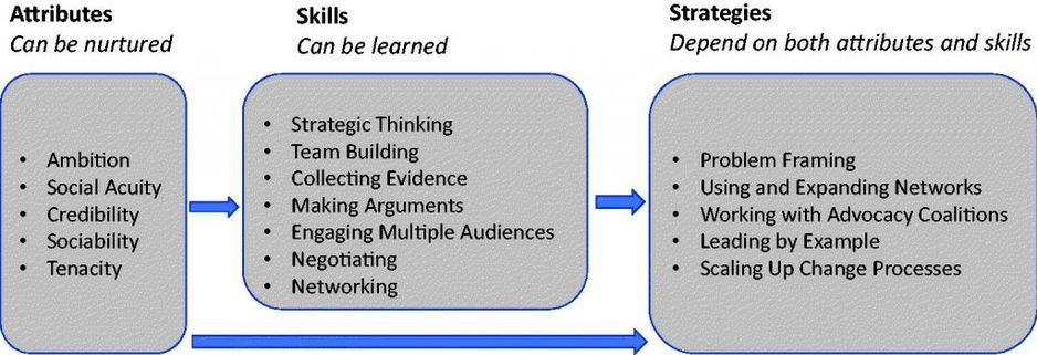 How policy entrepreneurs work: attributes that can be nurtured (such as ambition, social acuity and tenacity), skills that can be learned (such as strategic thinking and networking), and strategies that depend on both (such as problem framing and working with advocacy coalitions)