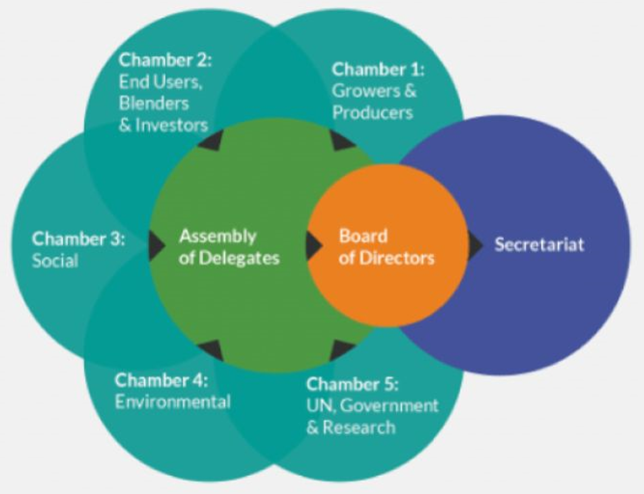 Governance structure of the Roundtable on Sustainable Biomaterials: five stakeholder chambers feeding into an assembly of delegates, board of directors and secretariat