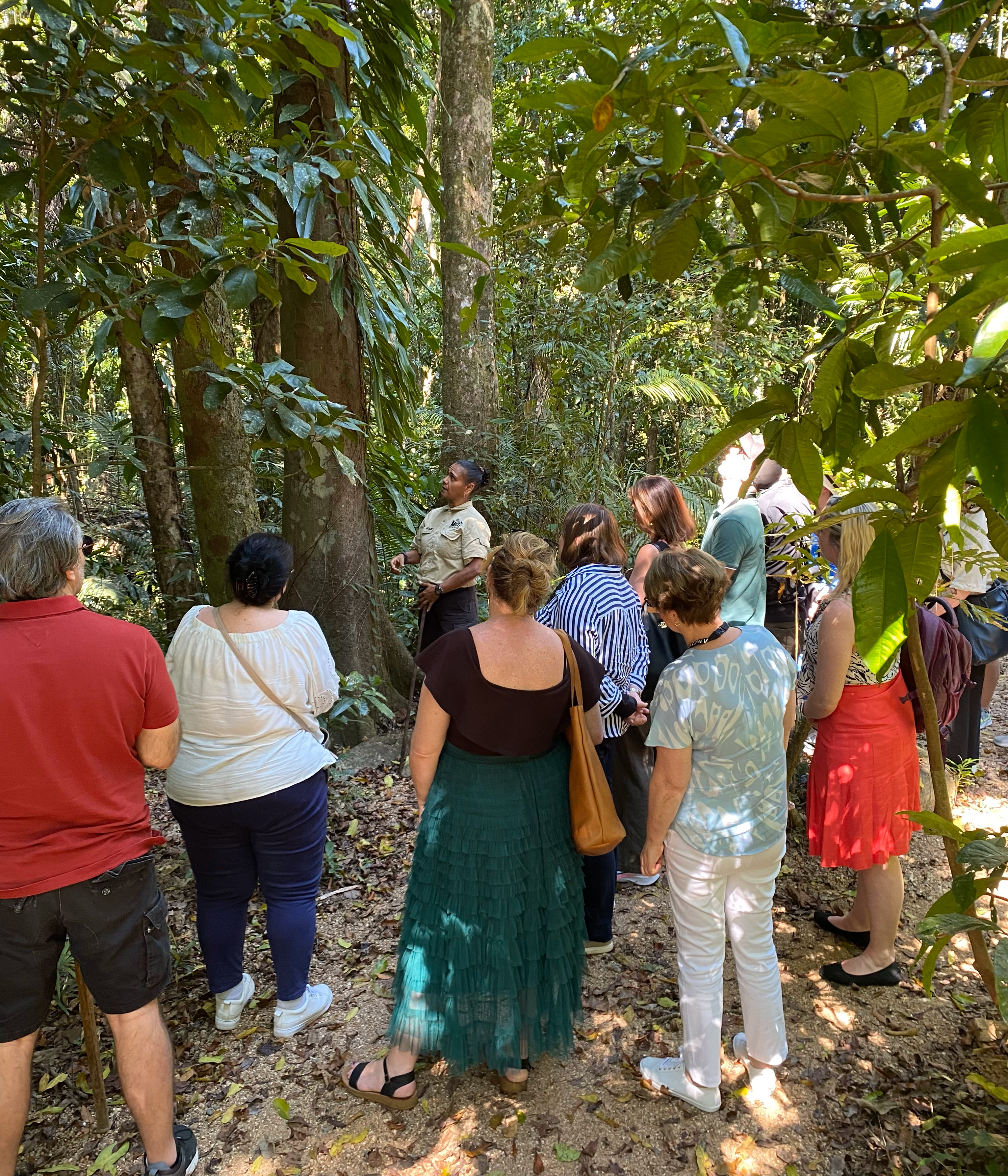 Mossman Gorge immersion