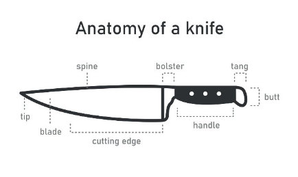 Labelled diagram of a knife showing the tip, blade, cutting edge, spine, bolster, tang, handle and butt