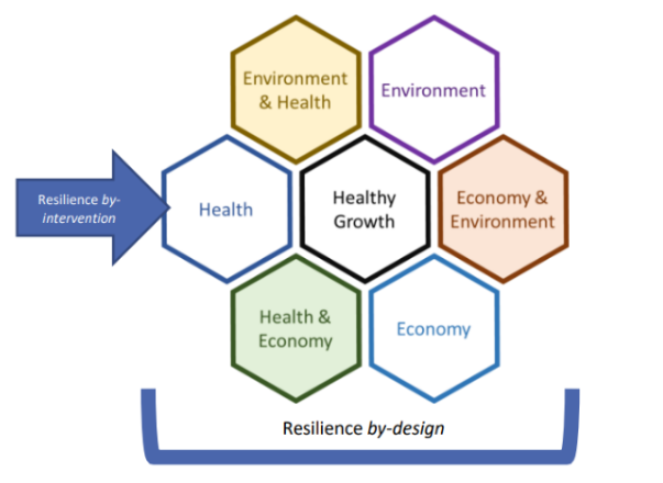Hexagon diagram of resilience by design: health, environment and economy and where they overlap, with healthy growth at the centre, set against resilience by intervention