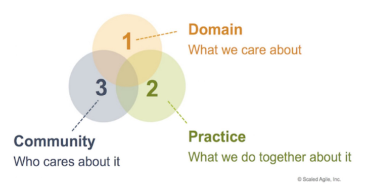 Venn diagram of the three components of a community of practice: domain (what we care about), practice (what we do together about it) and community (who cares about it)