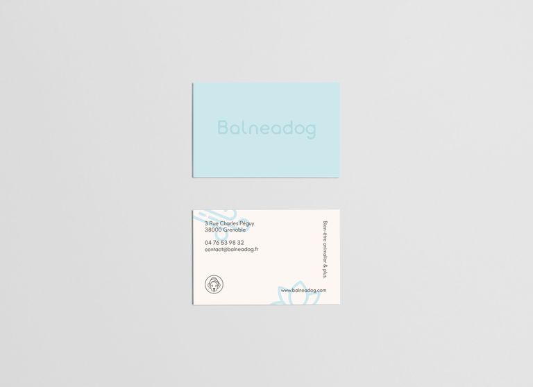 Image BALNEADOG