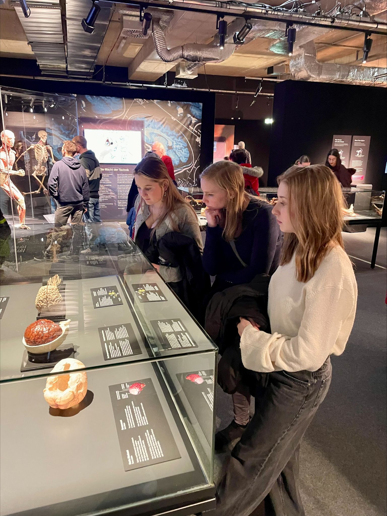 People observing specimens in glass cases at a museum exhibit, with informative displays on the table and others in the background.