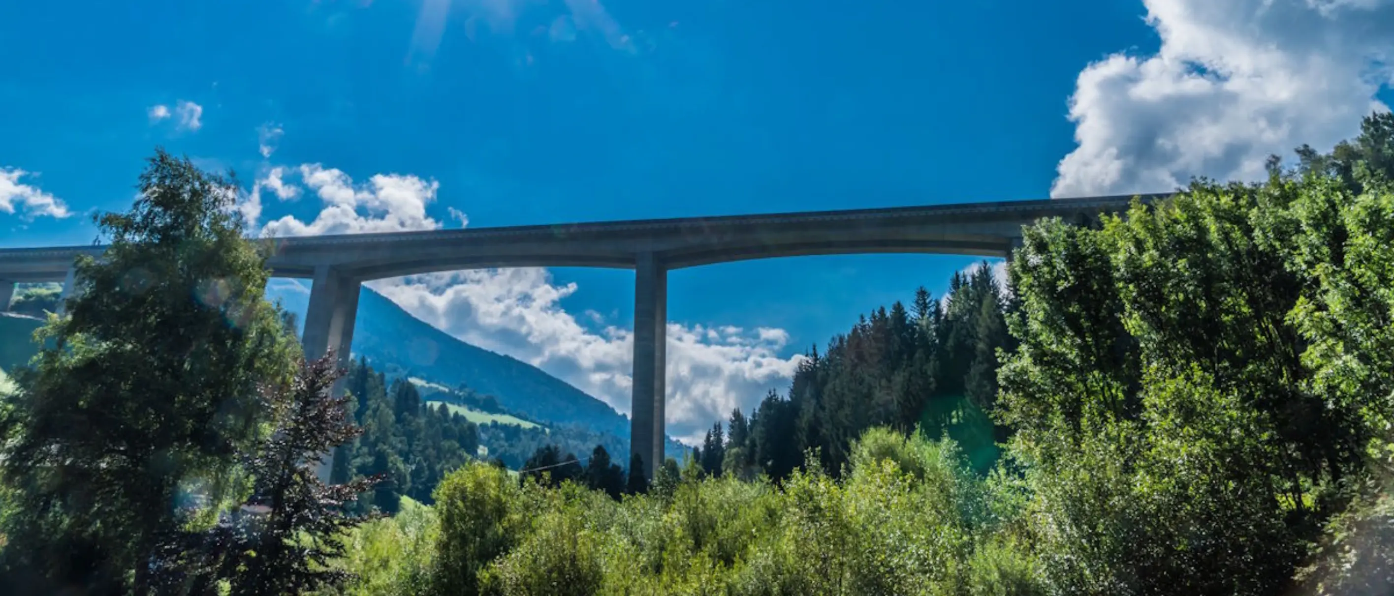 Foto einer Straßenbrücke über einem Wald