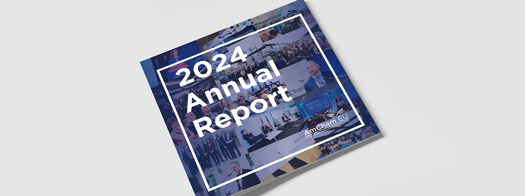 Annual Report 2024
