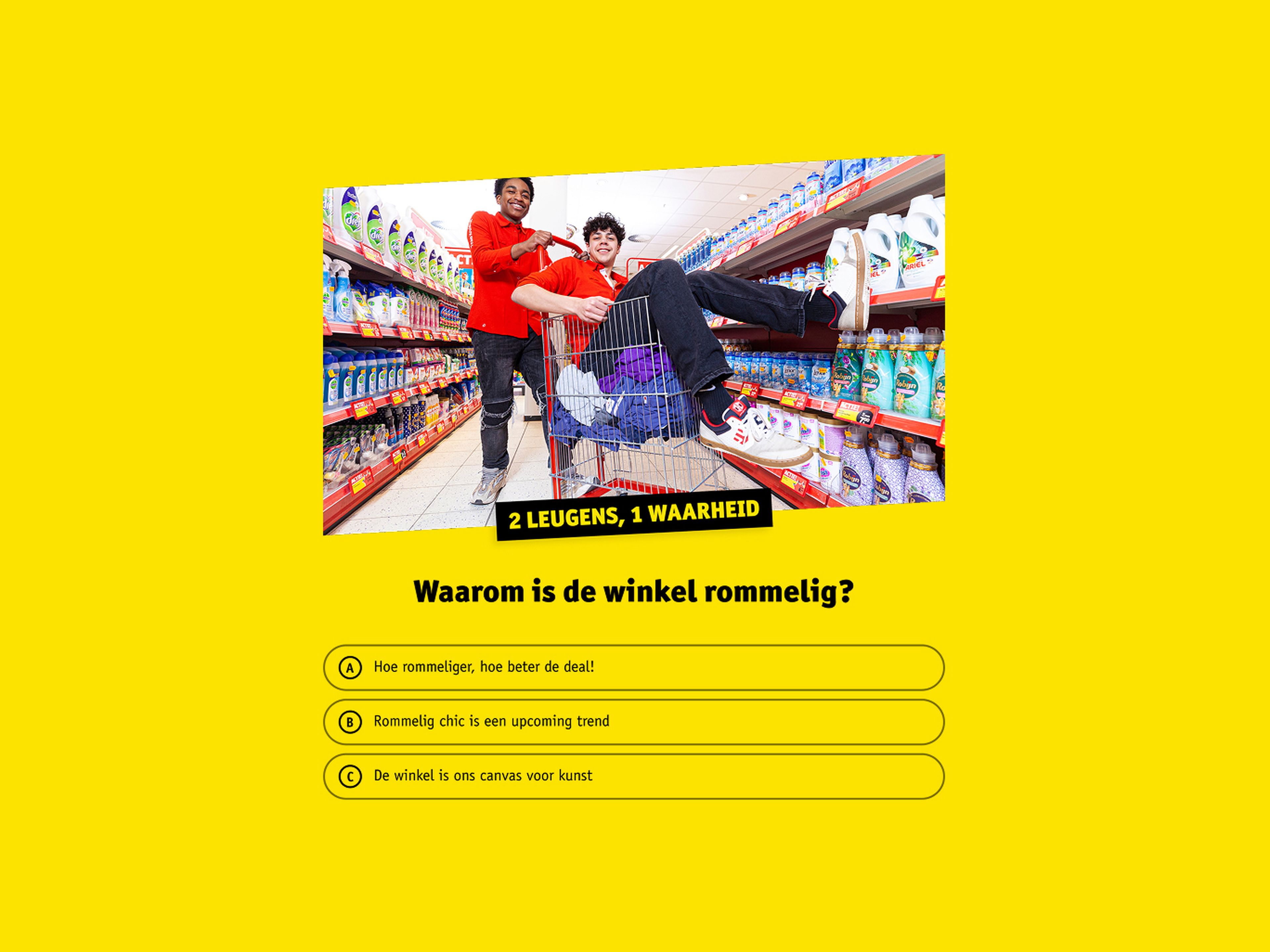 Programma-ontwerp dat vrijwillige deelname stimuleert