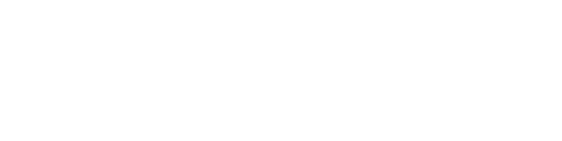 Perplexity