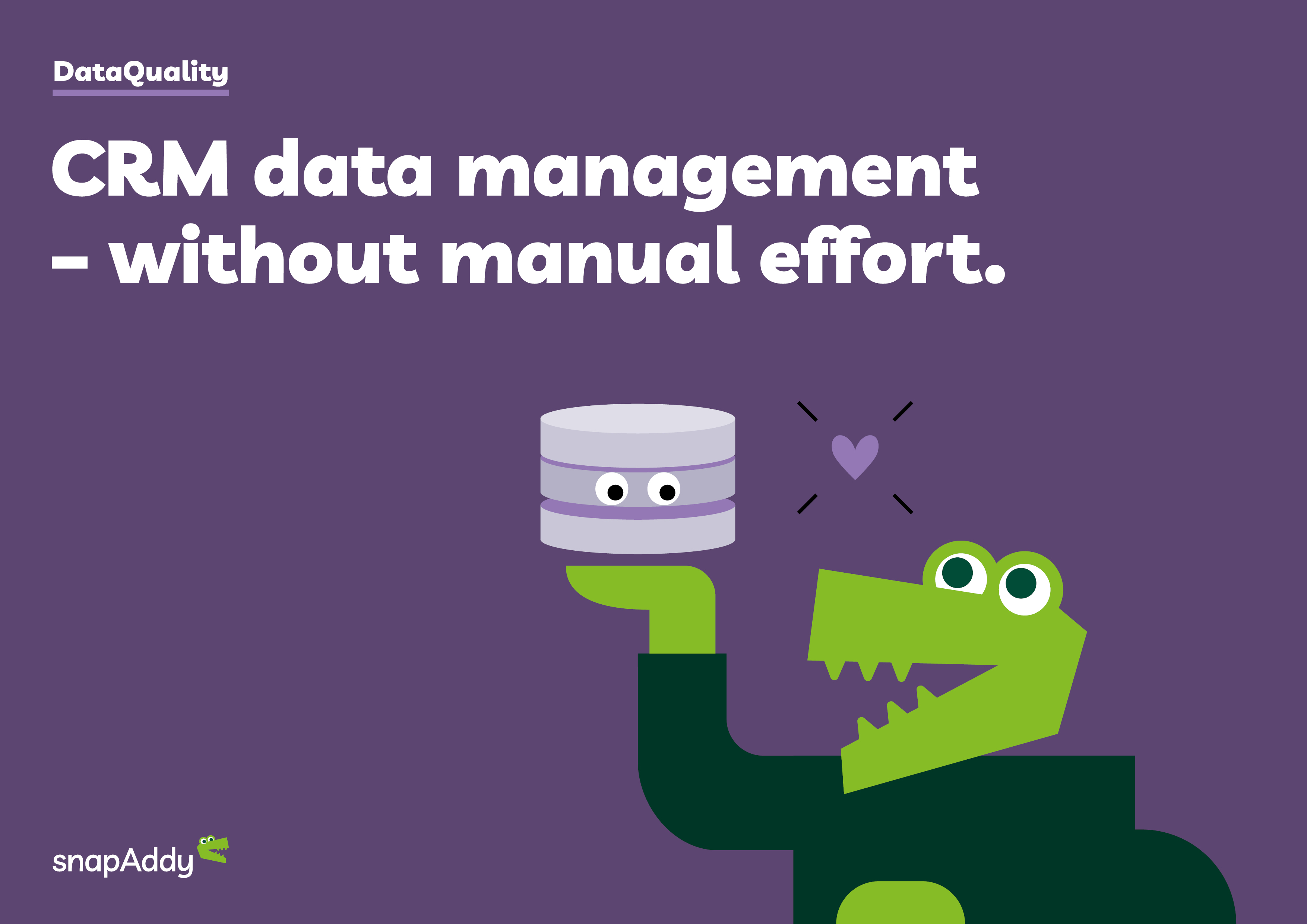 DataQuality Brochure Slide 1