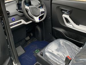 Rijbewijsvrije Cargo XL met laadbak - Image 20
