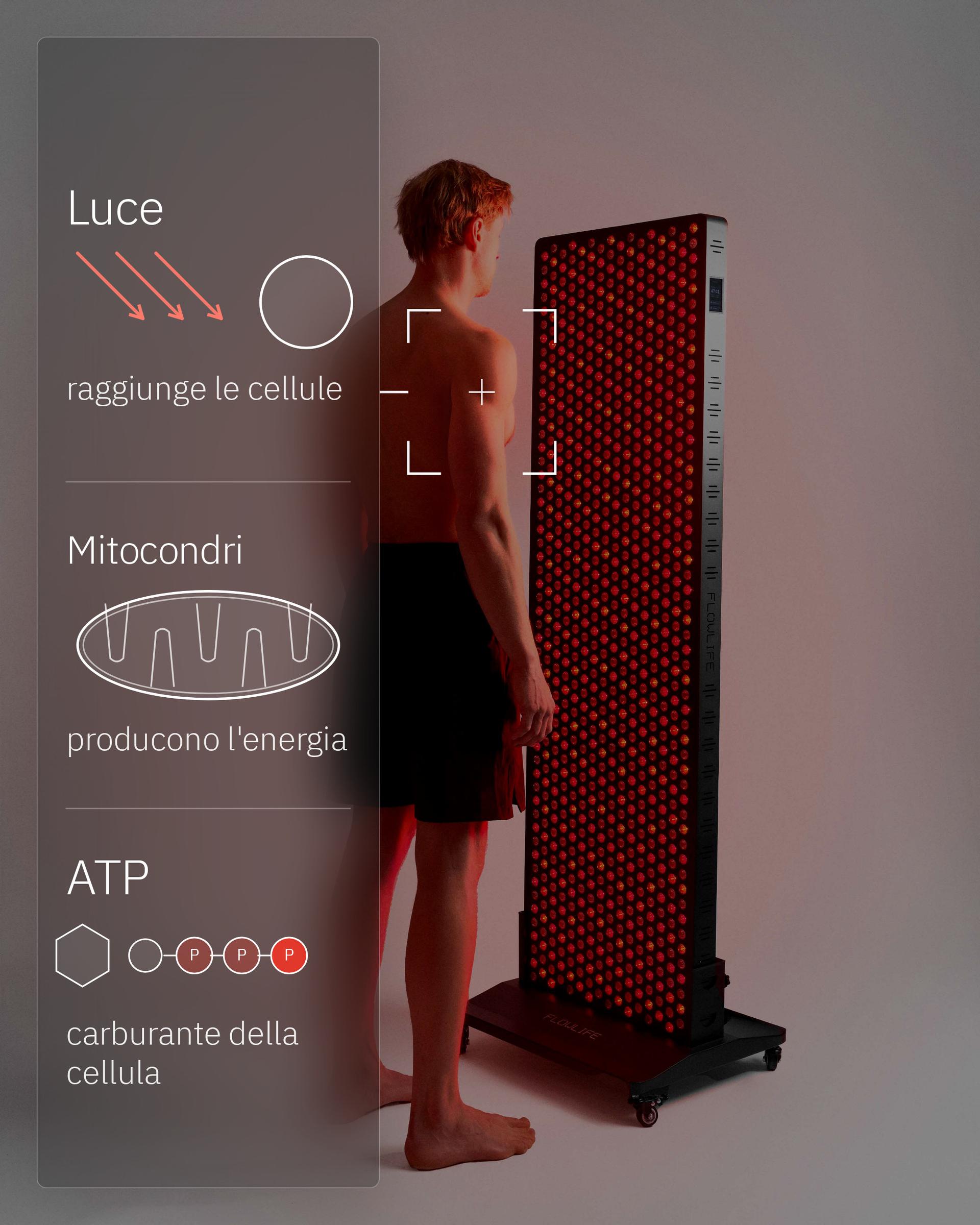 Infografica: Come funziona la terapia a luce rossa?