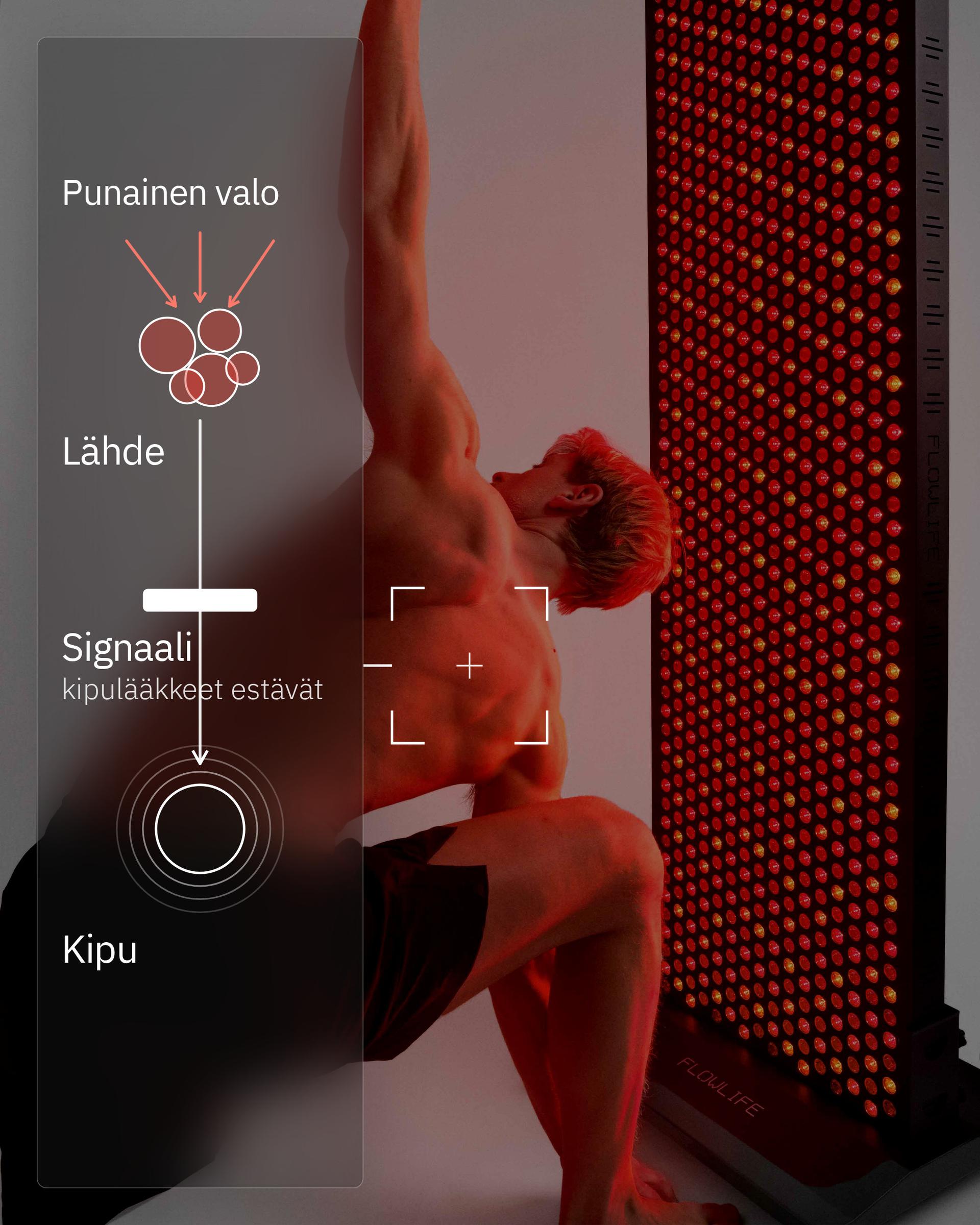 Infografiikka: Voiko punavaloterapia auttaa kipuun?