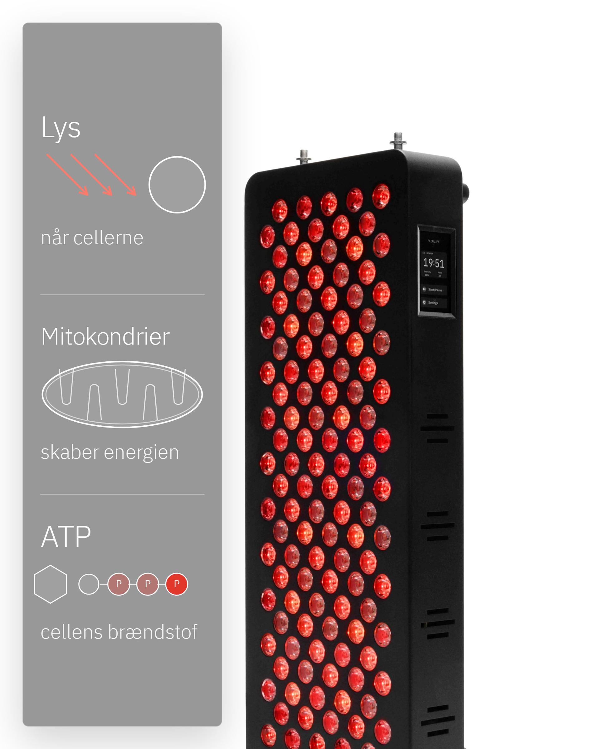 Flowlight Panel 600 Seven Waves, med en illustration af lys, mitokondrier og ATP