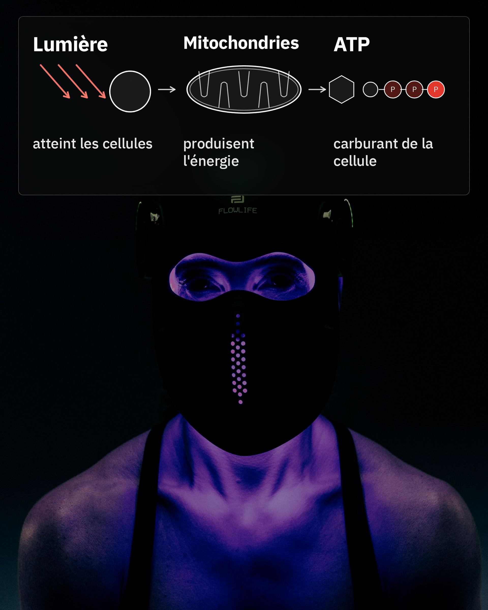 Flowlight Laser Mask Ultra+ Four Waves, avec un schéma de la lumière, des mitochondries et de l'ATP