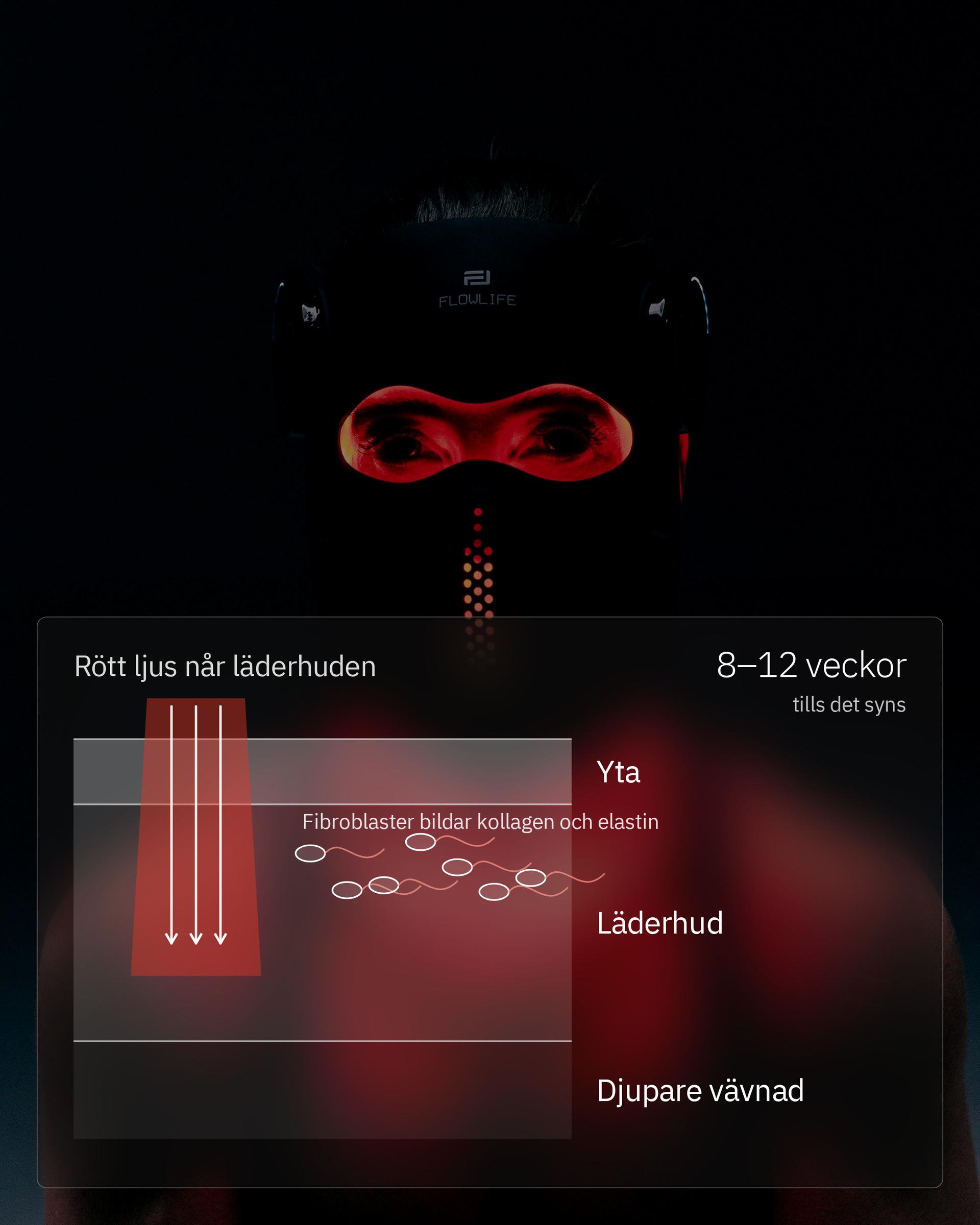 Infografik: Kan rödljusterapi förbättra hud och kollagen?