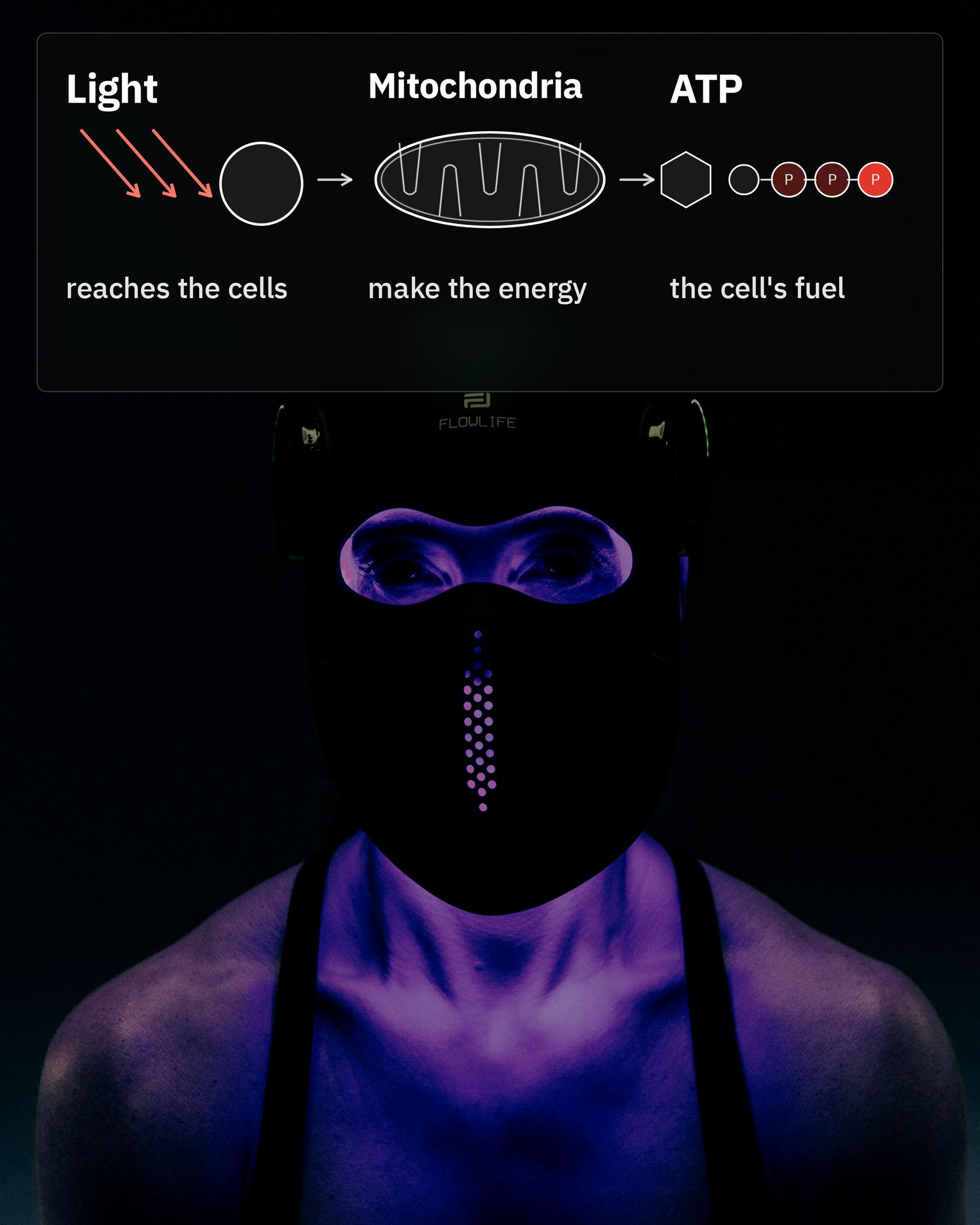Flowlight LED Mask Pro+ Three Waves, with a diagram of light, mitochondria and ATP