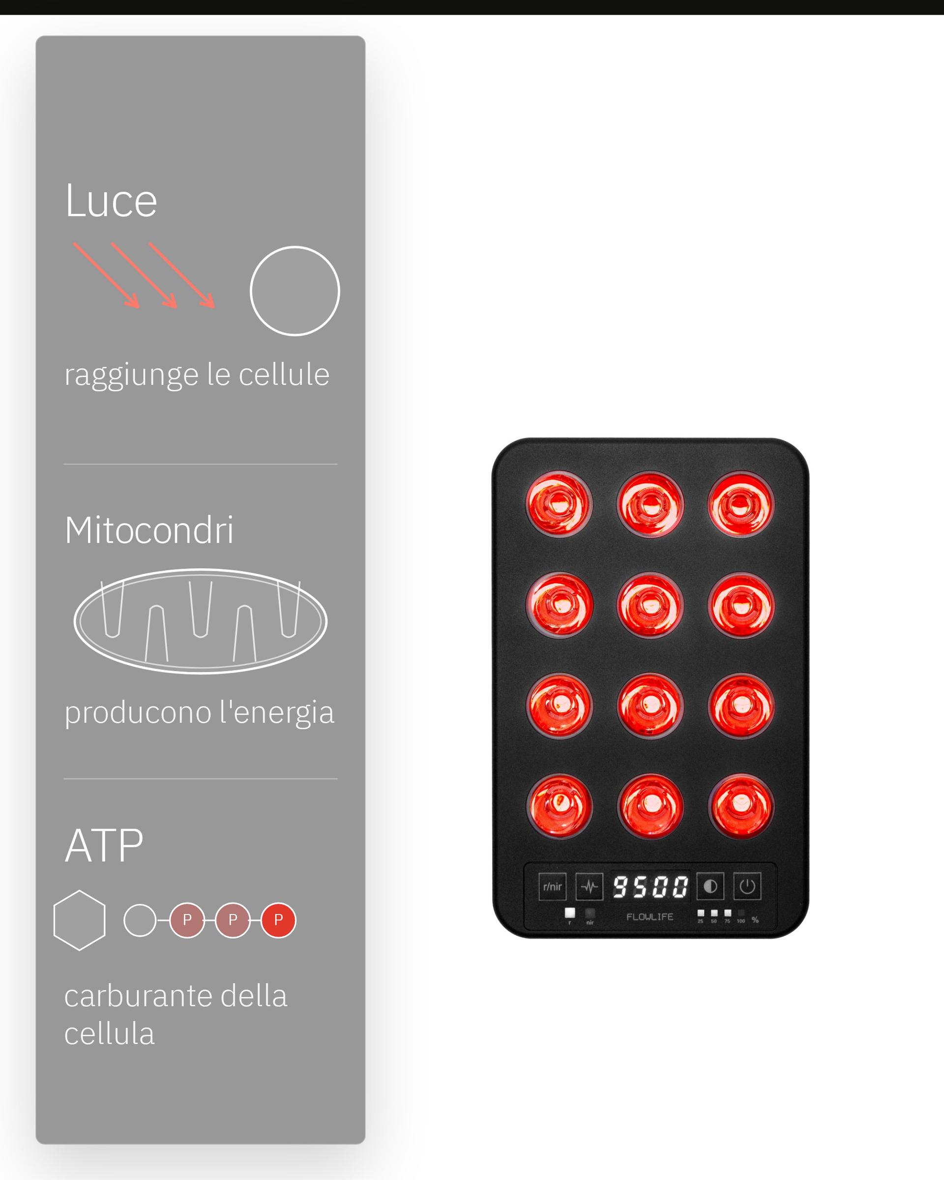 Flowlight Panel Go 60 Two Waves, con uno schema di luce, mitocondri e ATP