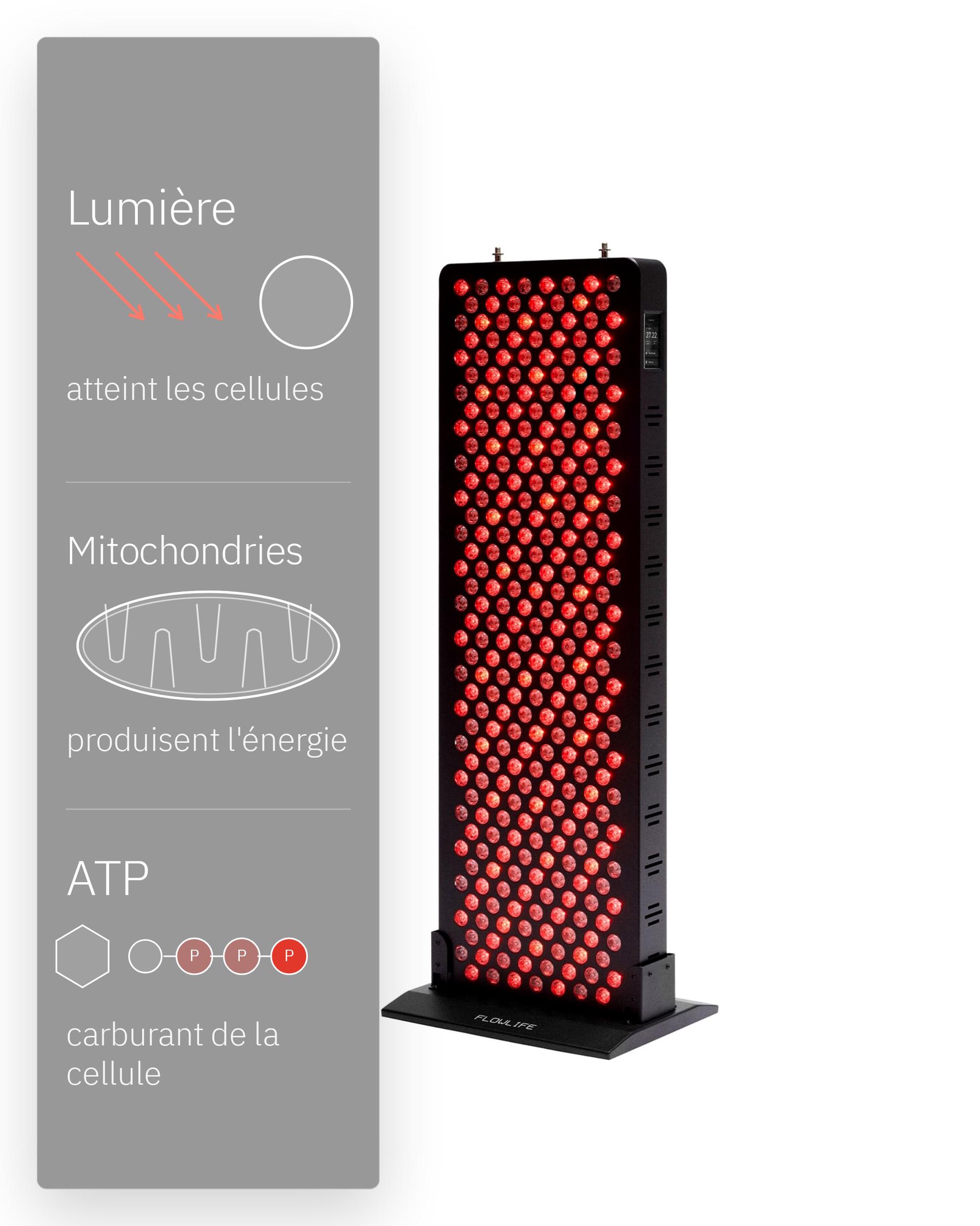 Flowlight Panel 1500 Seven Waves, avec un schéma de la lumière, des mitochondries et de l'ATP