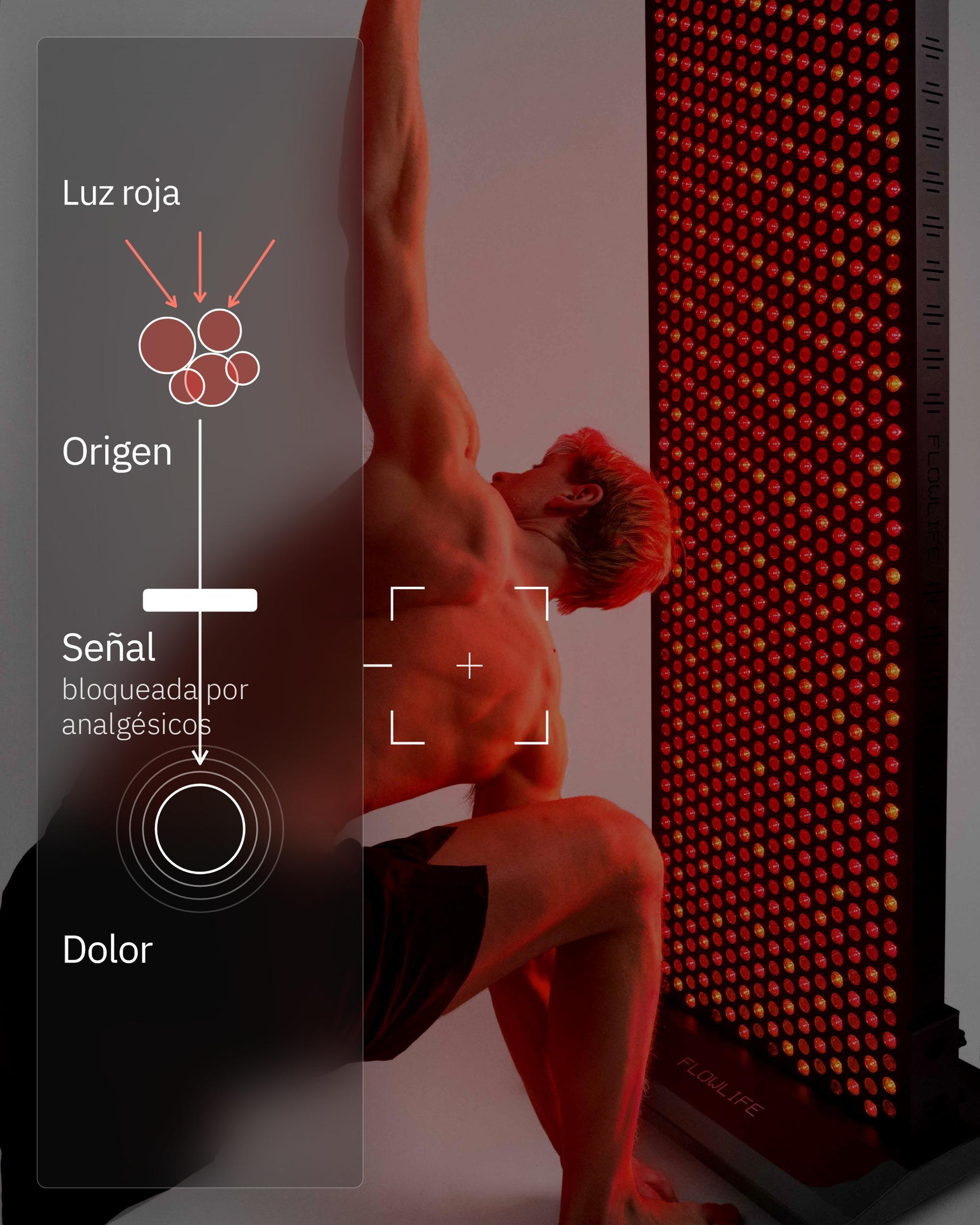 Infografía: ¿La terapia de luz roja puede ayudar con el dolor?