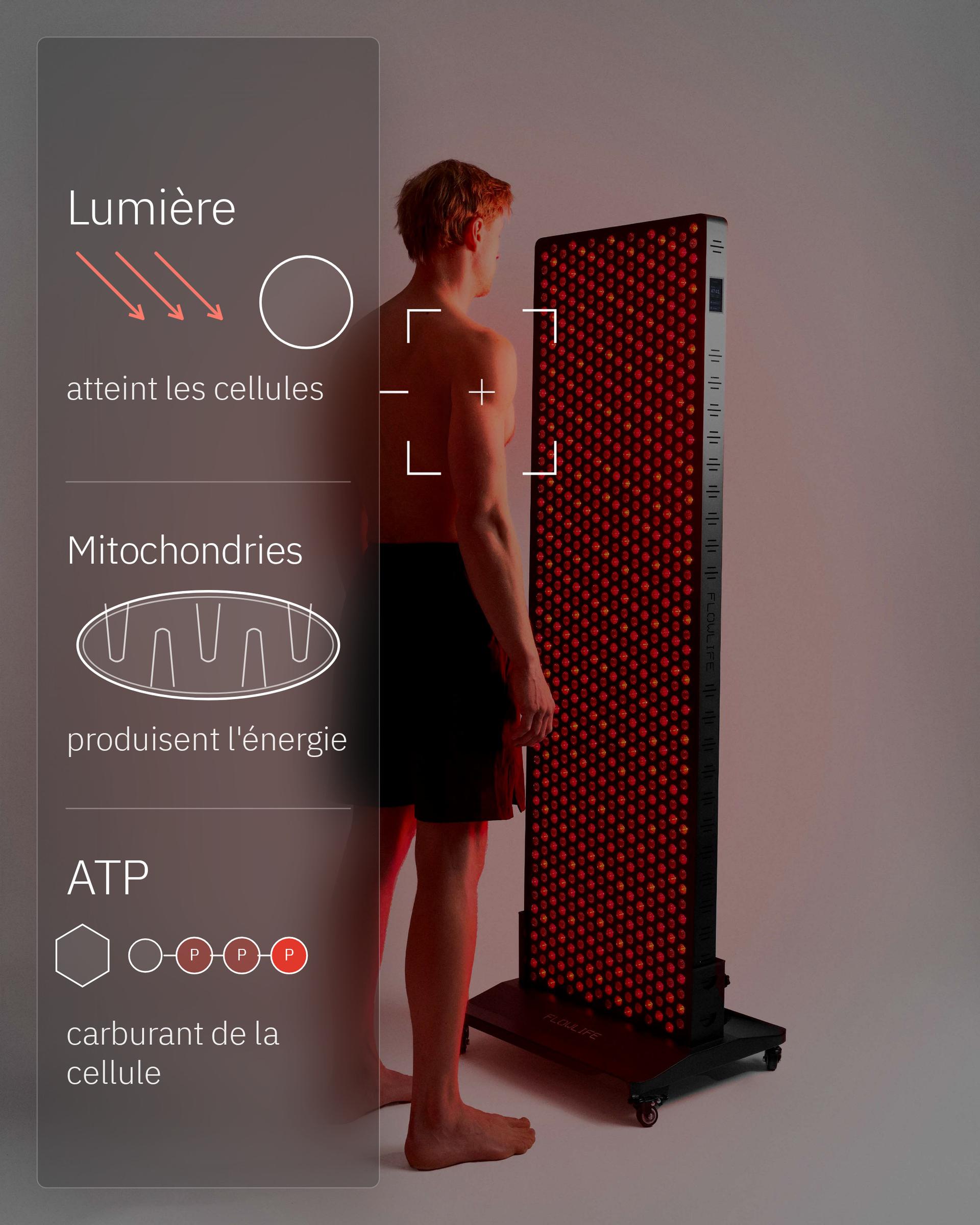 Homme debout devant un Flowlight Panel 4300 Eight Waves, avec un schéma de la lumière, des mitochondries et de l'ATP