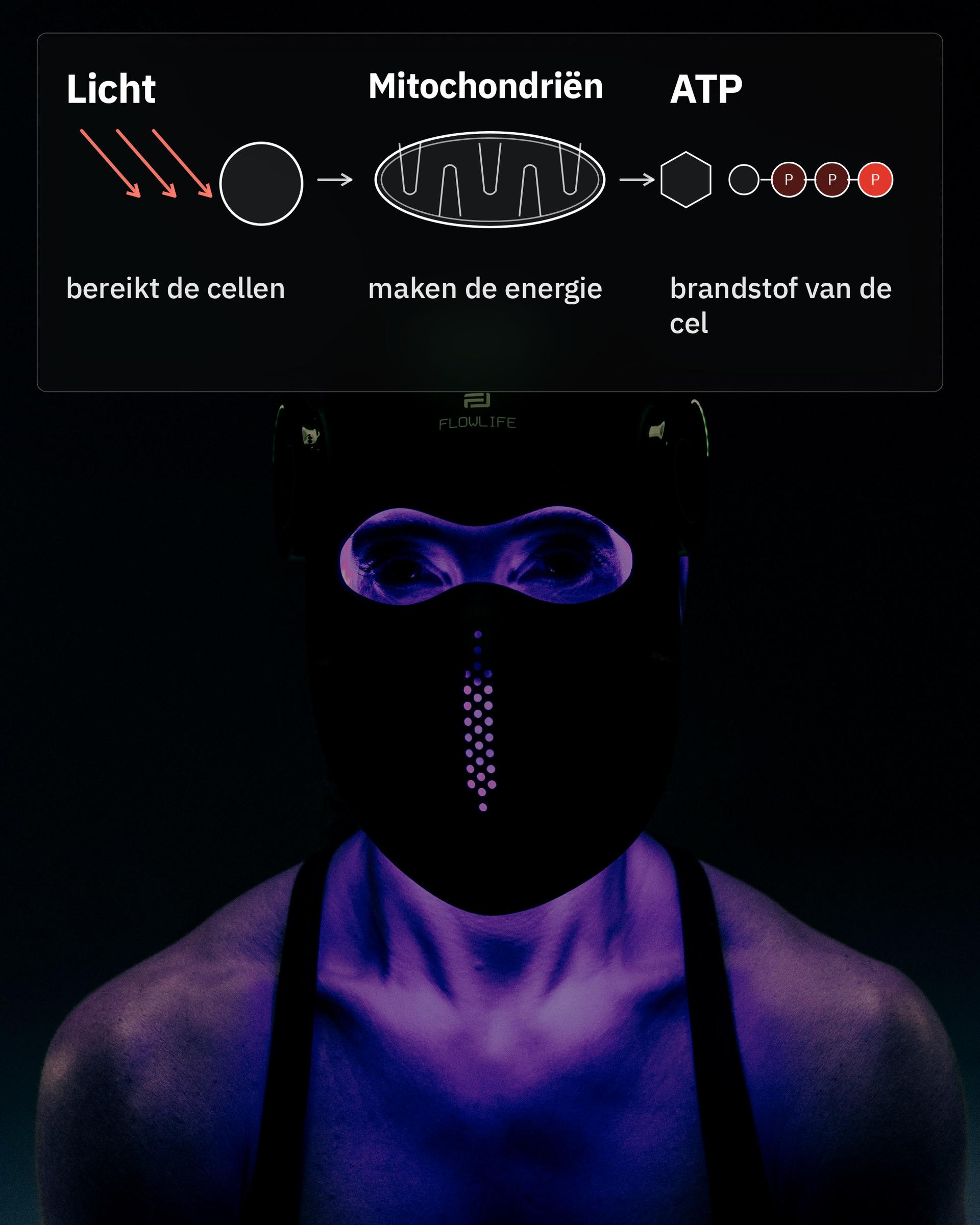 Flowlight LED Mask Pro+ Three Waves, met een afbeelding van licht, mitochondriën en ATP