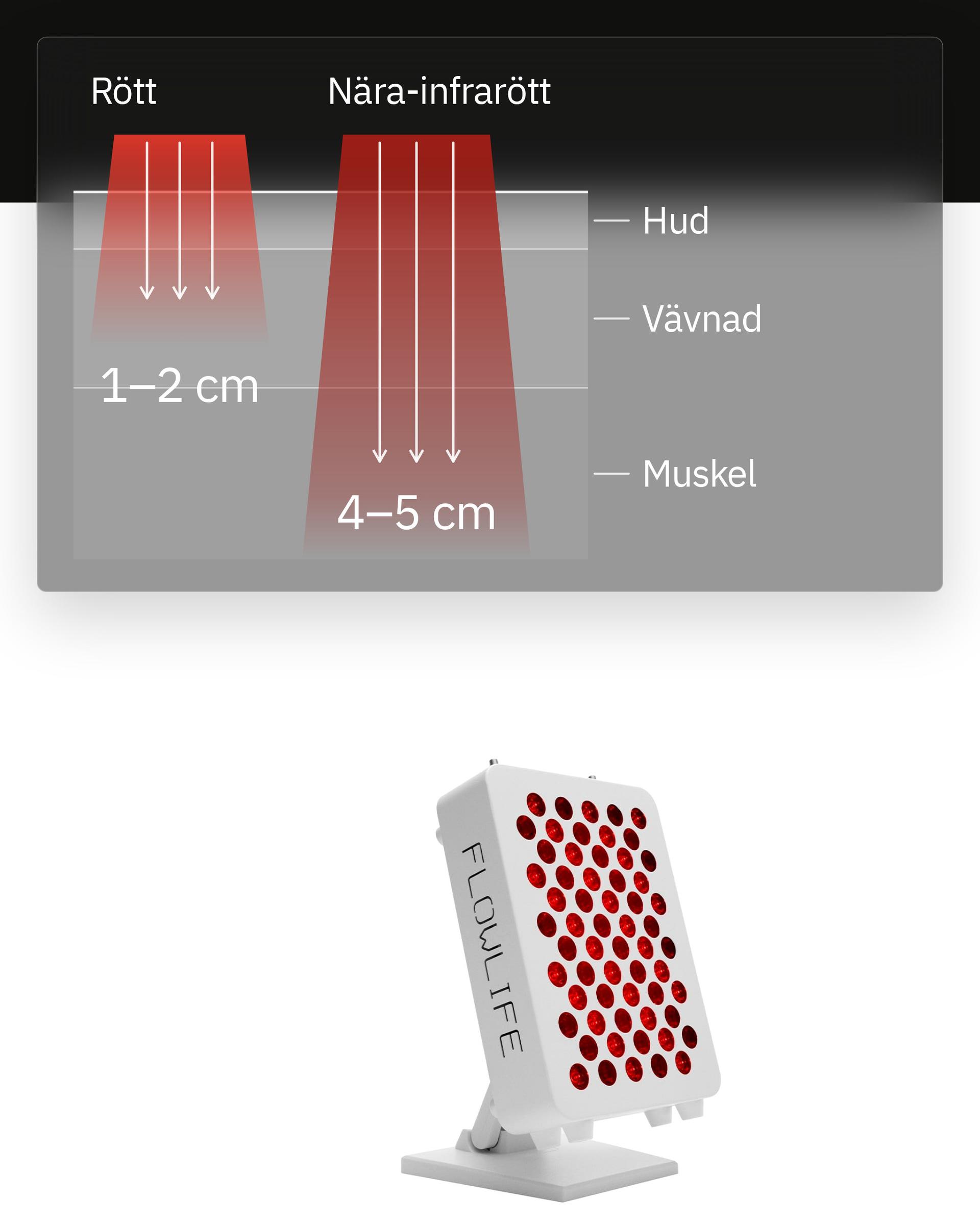 Flowlight Panel 300 Two Waves, med en bild av hur rött ljus når 1 till 2 cm och nära-infrarött 4 till 5 cm in i hud, vävnad och muskel