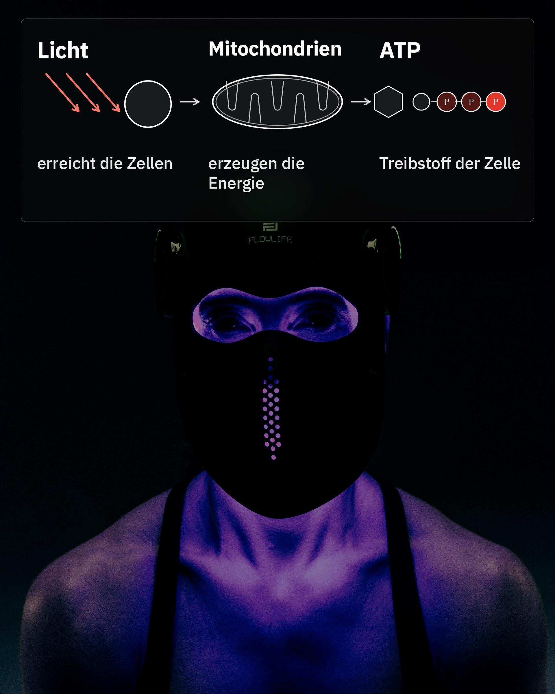 Flowlight LED Mask Pro+ Three Waves, mit einer Grafik zu Licht, Mitochondrien und ATP