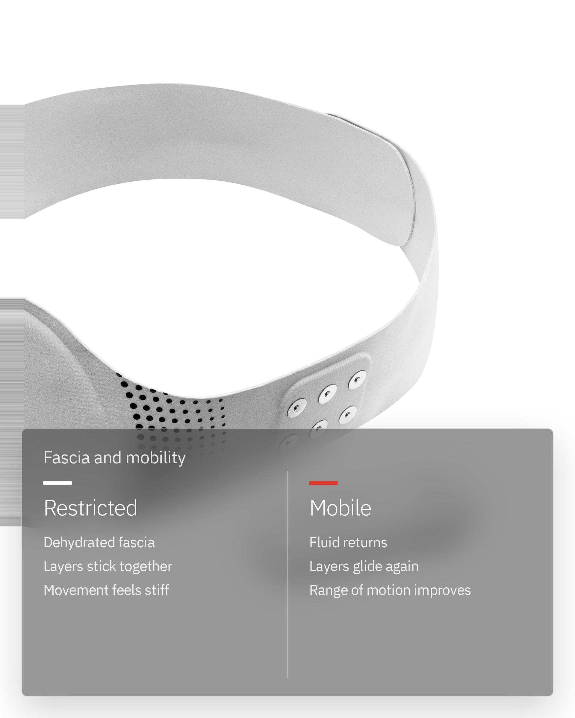 Flowtens Belt, infographic: Core and connective tissue