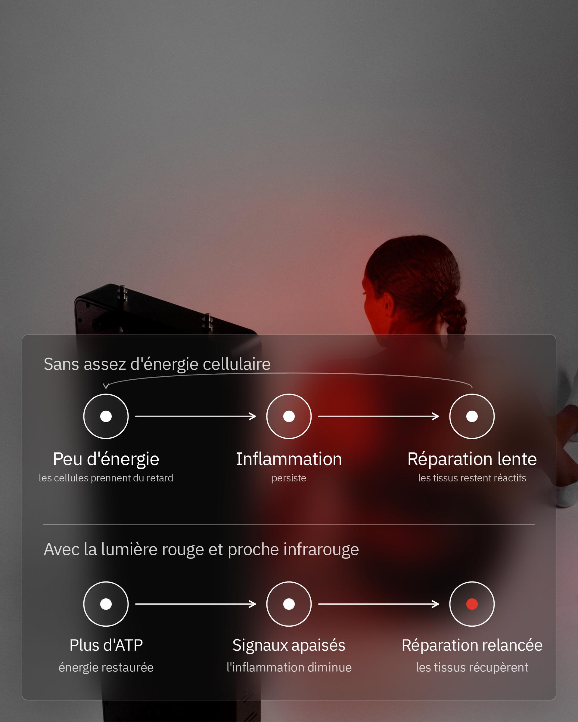 Infographie: La thérapie par lumière rouge peut-elle réduire l'inflammation ?