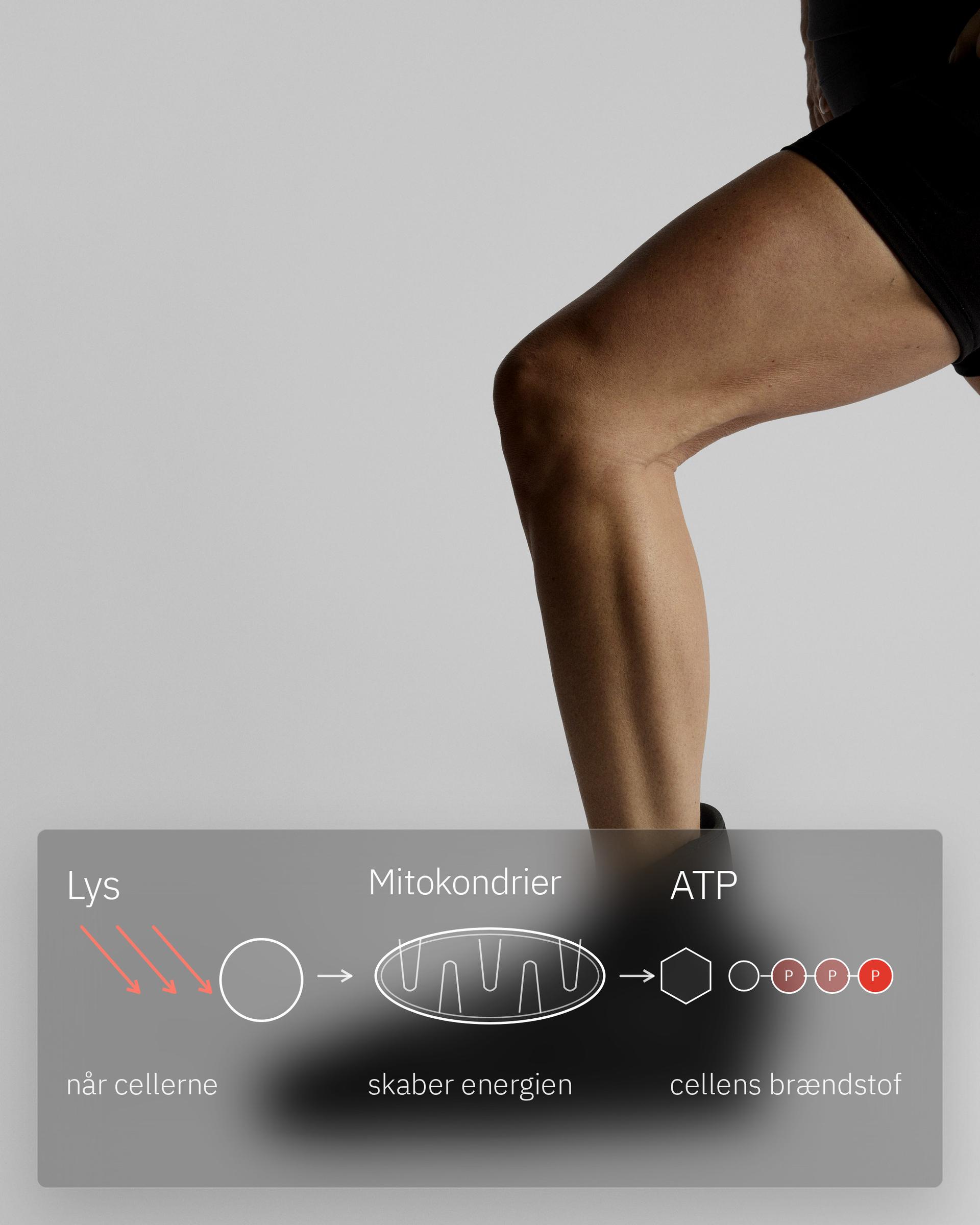Flowlight Wearable Foot 60 Two Waves, infografik: Dine celler bruger det