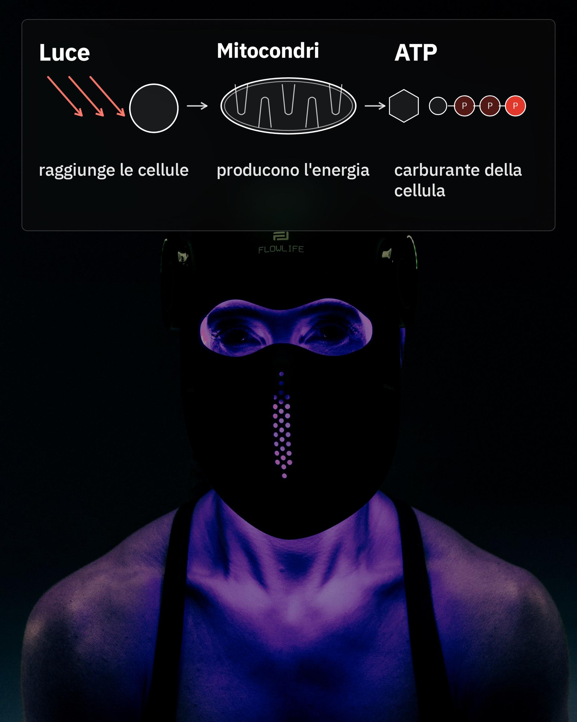 Flowlight LED Mask Pro+ Three Waves, con uno schema di luce, mitocondri e ATP