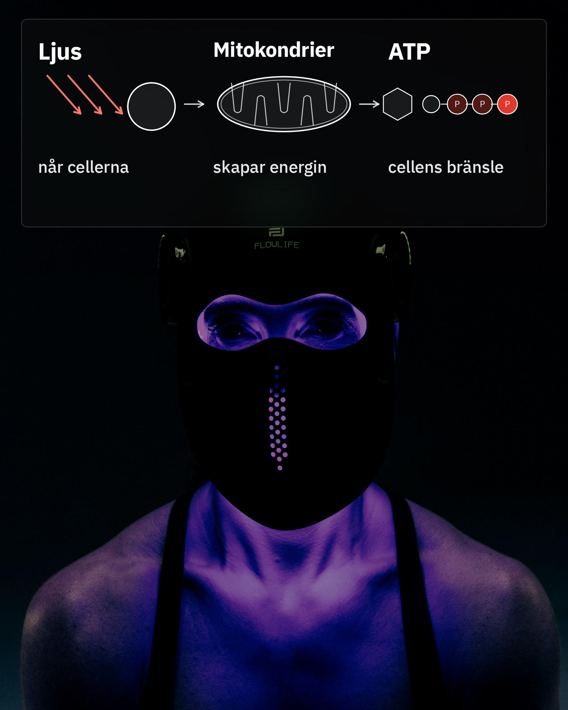 Flowlight Laser Mask Ultra+ Four Waves, med en bild av ljus, mitokondrier och ATP