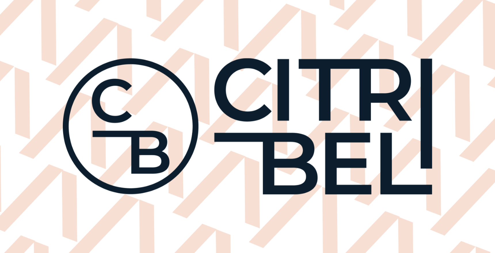Case study: an efficient BI environment for Citribel